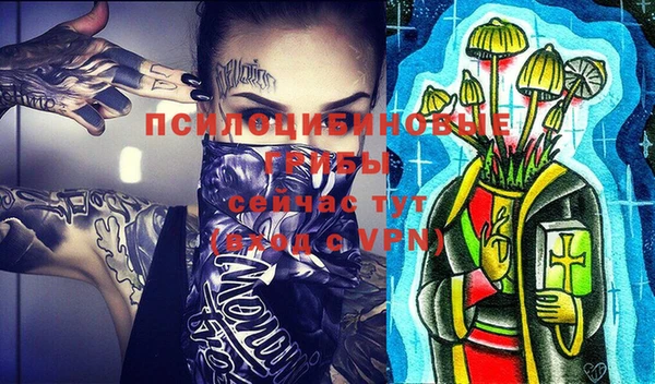 шишки Карталы