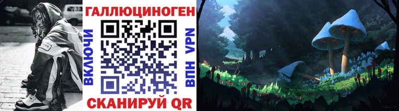 Галлюциногенные грибы GOLDEN TEACHER  Купить  Яхрома 